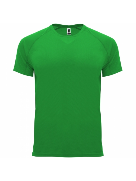 t-shirt-uomo-montecarlo-roly-verde felce.jpg